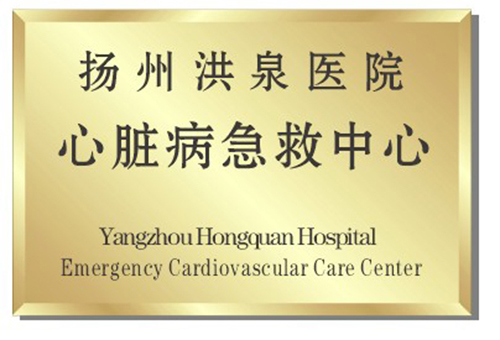 心脏病急救中心铜牌